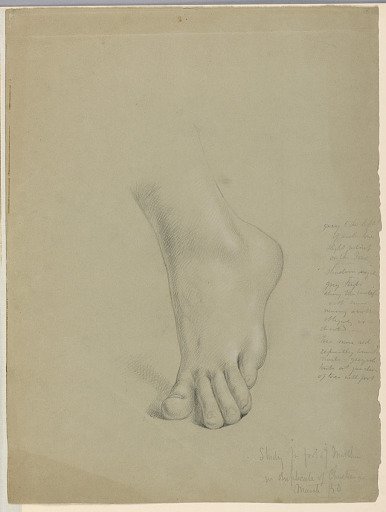 Study for Foot of Matthew in "Christiana and Her Children"