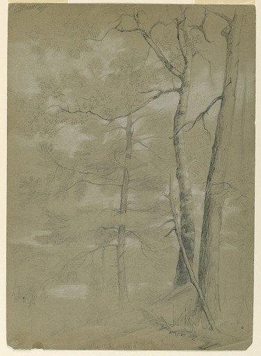 Study of Hemlock and Beech, White Lake