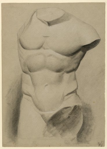 Male Torso From a Plaster Cast