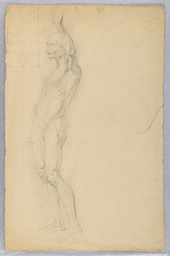 Anatomical Study of Male Nude