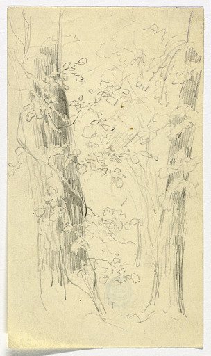 Sketch of Trees
