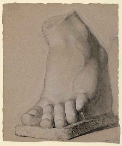 Left Foot From a Plaster