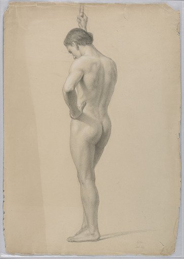 Standing Male Nude