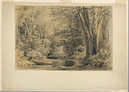 Artist's Brook