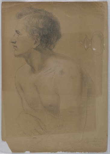 Study of a Young Man in Profile for "Tribute Money"