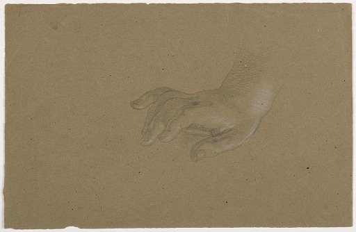Study of a Right Hand