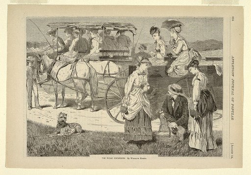 The Picnic Excursion