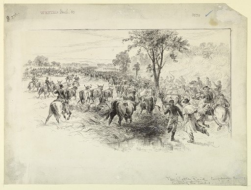 The Cattle Raid by the Confederate Cavalry