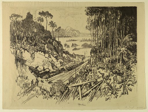 The Jungle: The Old Railroad from the New