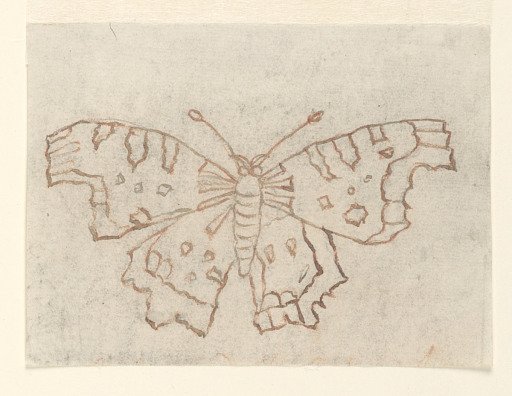 Textile Design: A Butterfly