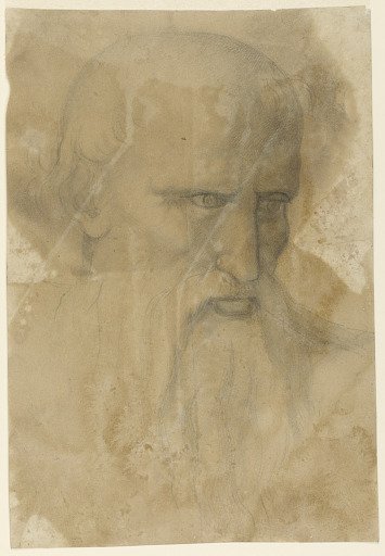 Head of an Elderly Bearded Man