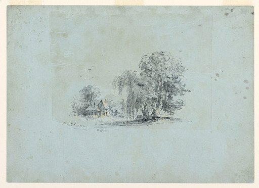Country Scene