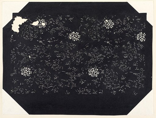 Chrysanthemum Blossoms