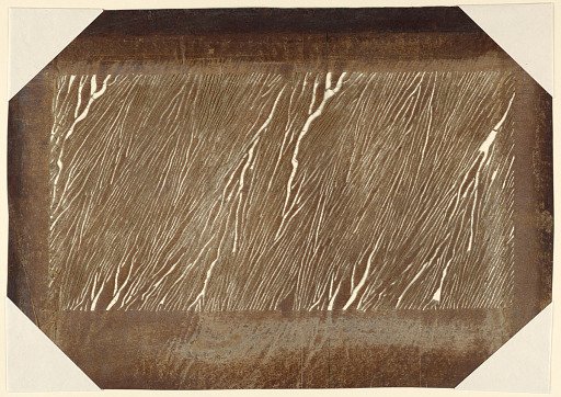 Wood Motif