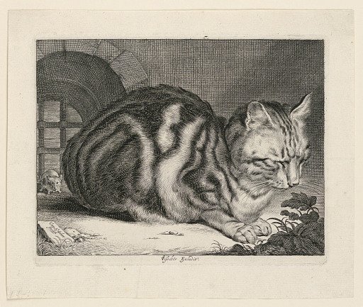 The Large Cat