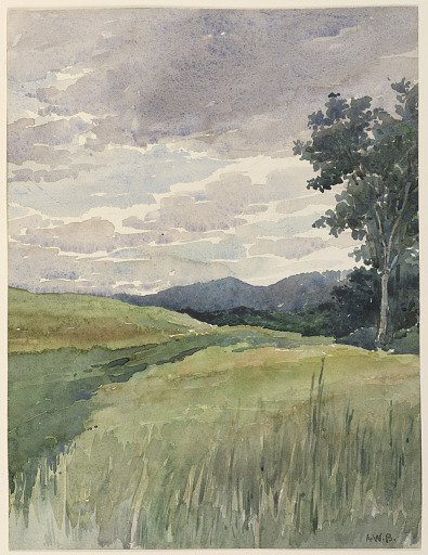 Landscape of Countryside
