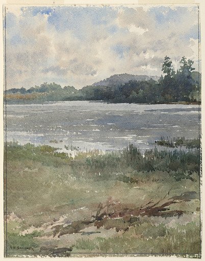 Lakeside Landscape