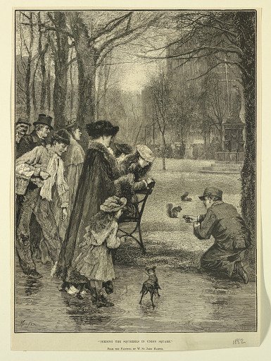 Feeding the Squirrels in Union Square