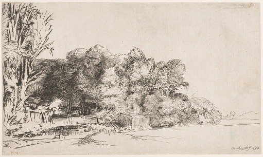 Clump of Trees with a Vista