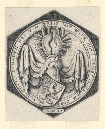 Coat of Arms with a Lion