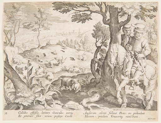 Rabbit hunt