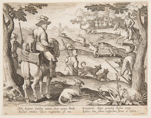 Rabbit hunt