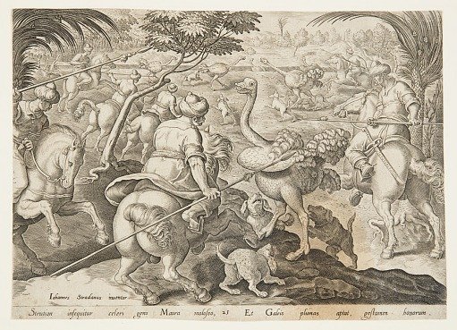 The Ostrich Hunt