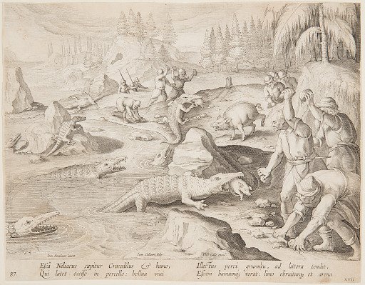 Crocodile hunt