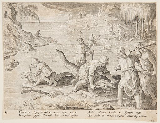 Crocodile Hunt in Tentyra, in Egypt, plate 30 from the Venationes Ferarum, Avium, Piscium series