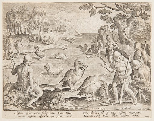 Indians Catching Fish with the Help of Pelicans