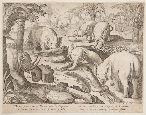 Elephants Helding Each Other out of a Trap, plate 1 from the Venationes Ferarum, Avium, Piscium series