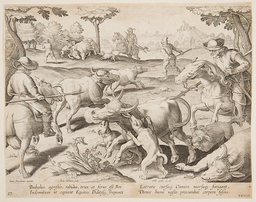 Buffalo Hunt, plate 27 in the Venationes Ferarum, Avium, Piscium series