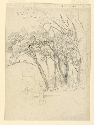 Study of foliage