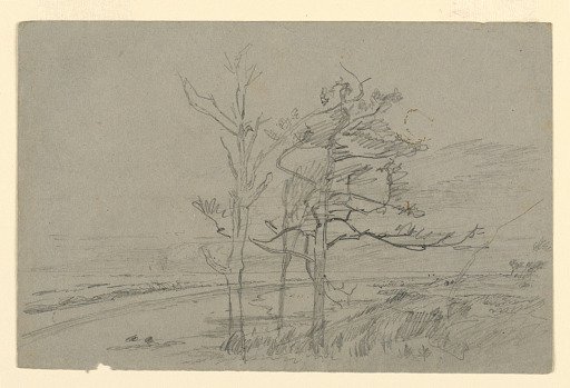 Study of landscape