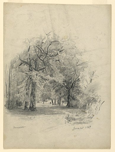 Landscape, Darmstadt, Germany