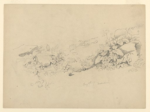 Study of foliage, Trachselwald, Bern, Switzerland