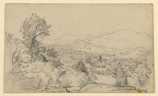 Study of landscape