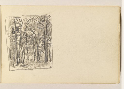 Small Study of Many Trees