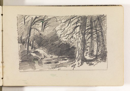Stream Framed by Large, Dark Trees