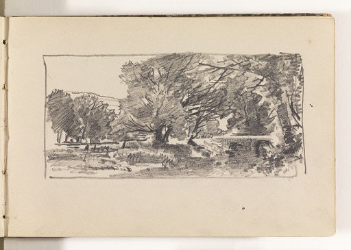 Countryside with Many Trees