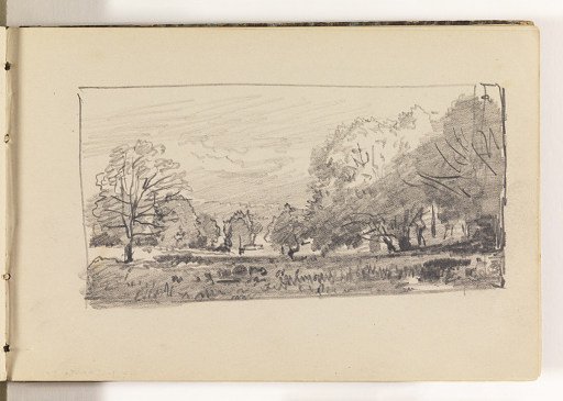 Wooded Countryside