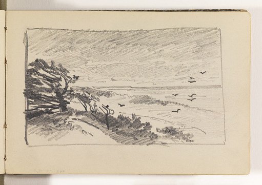 Beach Study of Trees in Wind and Birds
