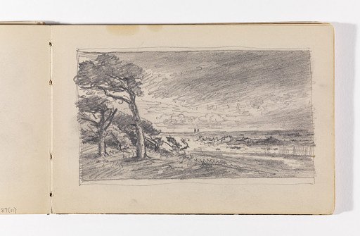 Shoreline with Trees in Wind and Distant Boats