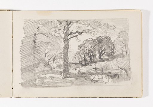 Study of Forested Countryside with Stream