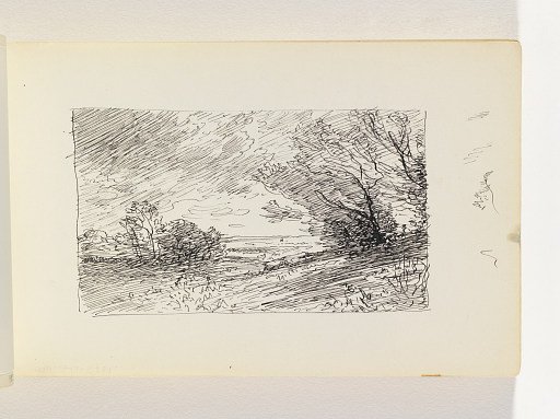 Study of Wind in Trees