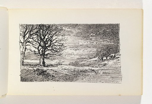 Dark Landscape with Bare Trees on Water Inlet