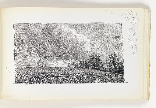 Hillside with Distant Trees on Cloudy Day