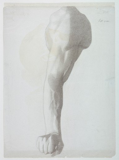 Male Arm