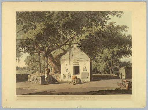 The Sacred Trees of the Hindoos At Gyah, Bahar, from "Oriental Scenery: Twenty Four Views in Hindoostan"