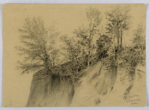 Cliff and Trees, Vicksburg, Miss.